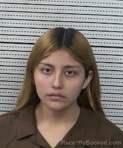 Mugshot of Alexa Herrera-Gayosso booked in Dona Ana County, New Mexico on September 25, 2026
