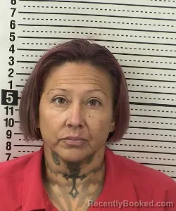 Mugshot of Natasha Nicole Brown booked in Dona Ana County, New Mexico on October 23, 2026