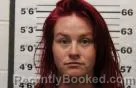 Mugshot of Dana Renee Johnson booked in Eddy County, New Mexico on September 4, 2026