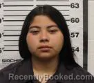 Mugshot of IRIS MICHELLE LAINEZ booked in Eddy County, New Mexico on June 22, 2026
