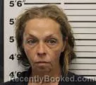 Mugshot of LESLIE DAWN WIGGINS
