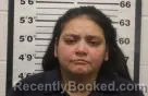 Mugshot of MICHELLE KELLY CASTILLO booked in Eddy County, New Mexico on July 19, 2026