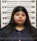 Mugshot of Yesenia Villegas Lopez booked in Eddy County, New Mexico on August 24, 2026