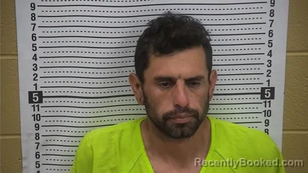 Mugshot of Anthony R Alviso booked in Grant County, New Mexico on October 4, 2026