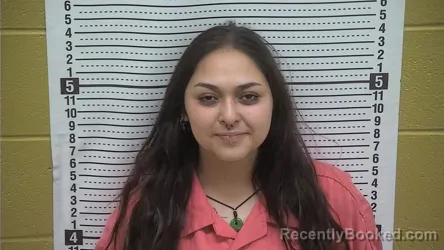 Mugshot of Angelina Rose Sanchez booked in Grant County, New Mexico on July 28, 2026
