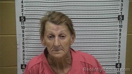 Mugshot of Bonnie LYNN Armit booked in Grant County, New Mexico on June 27, 2026
