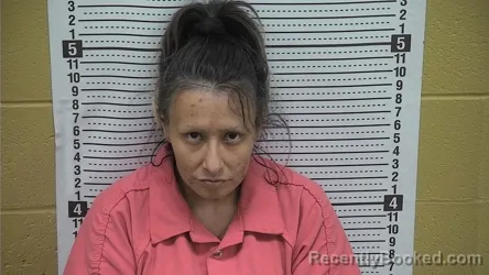 Mugshot of Christina Contreras booked in Grant County, New Mexico on April 5, 2026