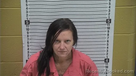 Mugshot of Cassidy Miller booked in Grant County, New Mexico on July 8, 2026