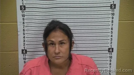 Mugshot of CHRISTINE PEREZ