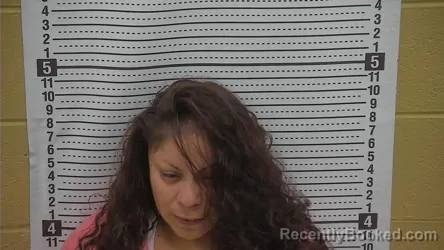 Mugshot of DIANE ANN WILSON