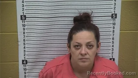 Booking photo from Grant County, New Mexico