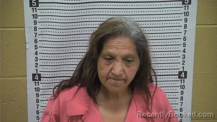 Mugshot of EVELYN V RODRIGUEZ booked in Grant County, New Mexico on June 24, 2026