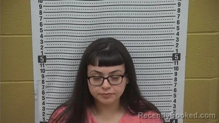 Mugshot of FRANKI SALAIZ booked in Grant County, New Mexico on April 26, 2026