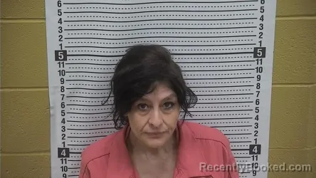 Mugshot of Gina Roller booked in Grant County, New Mexico on August 21, 2026