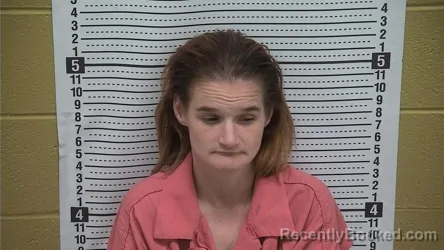 Booking photo from Grant County, New Mexico