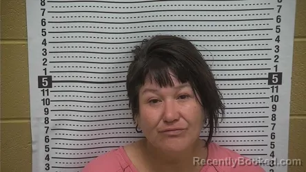 Mugshot of Jessica Cisneros booked in Grant County, New Mexico on August 31, 2026