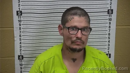 Mugshot of JOSEPH A HOGAN