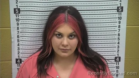 Mugshot of JUSTYN ORTIZ booked in Grant County, New Mexico on May 2, 2026