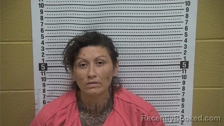 Mugshot of JACQUELINE M SILVA booked in Grant County, New Mexico on June 26, 2026