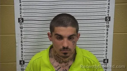 Mugshot of Joseph D Verlander