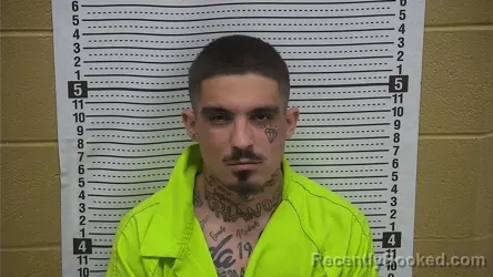 Mugshot of Joseph D Verlander