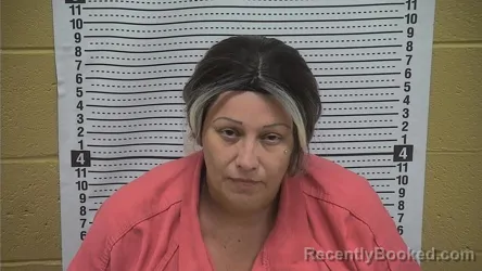 Mugshot of LILIA P ARZOLA booked in Grant County, New Mexico on July 28, 2026