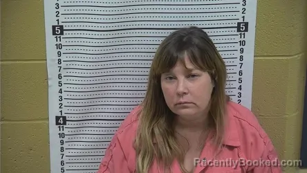 Mugshot of LISA LOPEZ booked in Grant County, New Mexico on May 7, 2026