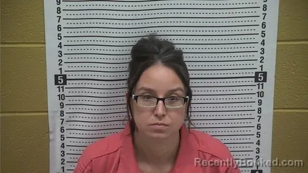 Mugshot of MANDI N ARELLIN