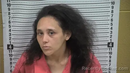 Mugshot of Monique Gonzales booked in Grant County, New Mexico on June 3, 2026