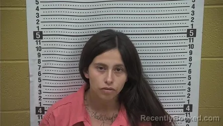 Mugshot of MERCEDES MARTINEZ