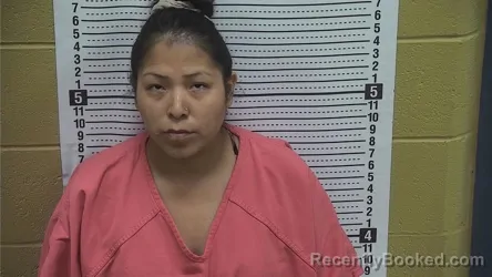 Mugshot of MARIAH M WILSON booked in Grant County, New Mexico on May 11, 2026