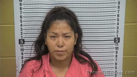 Mugshot of MARIAH M WILSON booked in Grant County, New Mexico on July 25, 2026
