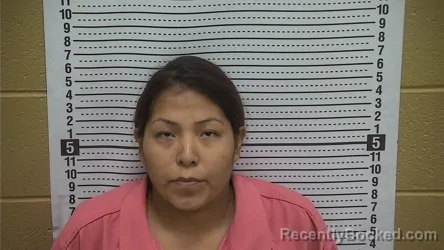 Mugshot of MARIAH M WILSON booked in Grant County, New Mexico on July 5, 2026
