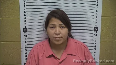 Mugshot of Mariah M Wilson booked in Grant County, New Mexico on September 3, 2026