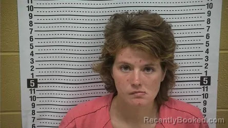 Mugshot of NICOLE SEGURA VANNATTER booked in Grant County, New Mexico on August 2, 2026