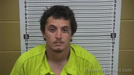 Mugshot of REGAN A DURAN