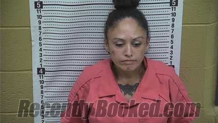 Booking photo from Grant County, New Mexico
