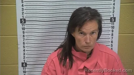 Mugshot of SARAH MONTGOMERY