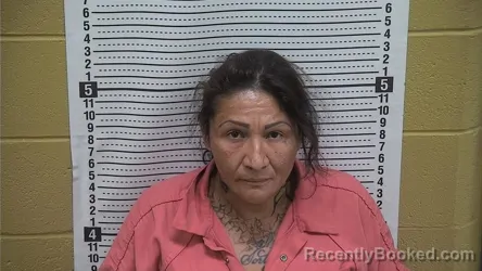 Mugshot of SUE ELLEN PROVENCIO booked in Grant County, New Mexico on June 13, 2026