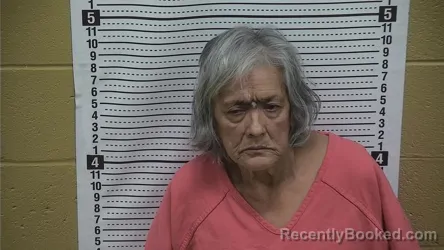 Mugshot of VELIA MALDONADO booked in Grant County, New Mexico on May 14, 2026