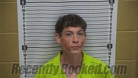 Booking photo from Grant County, New Mexico