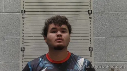 Mugshot of DAMIAN CARBAJAL booked in Luna County, New Mexico on March 25, 2026