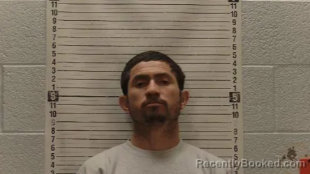 Mugshot of OSCAR HERNANDEZ-ROMAN booked in Luna County, New Mexico on March 30, 2026