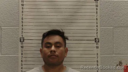 Mugshot of CELESTINO VAZQUEZ-HERRERA booked in Luna County, New Mexico on March 30, 2026