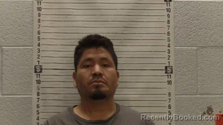 Mugshot of BENIHNO CASTELLANOS-HERNANDEZ booked in Luna County, New Mexico on March 30, 2026