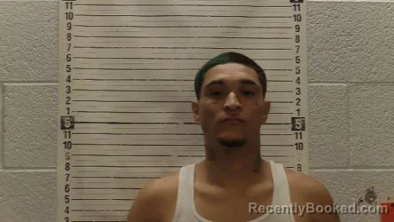 Mugshot of CARLOS LUGO booked in Luna County, New Mexico on March 30, 2026