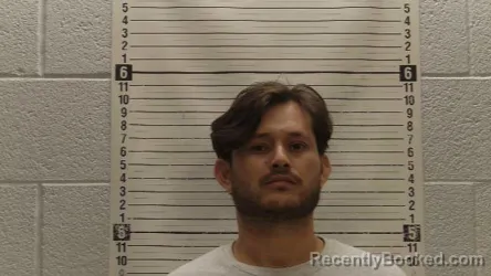 Mugshot of ANILVER ARGUETA-RODRIGUEZ booked in Luna County, New Mexico on April 1, 2026