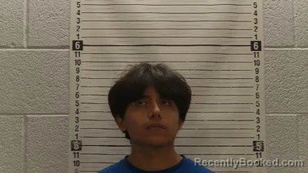 Mugshot of ROLANDO REANO-PACHECO booked in Luna County, New Mexico on April 1, 2026