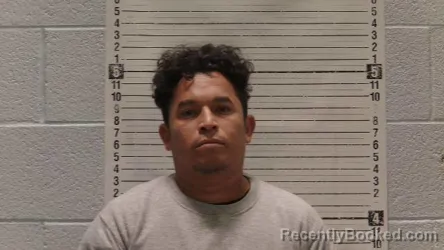 Mugshot of Tilson Sandaval-Gonzalez booked in Luna County, New Mexico on April 3, 2026