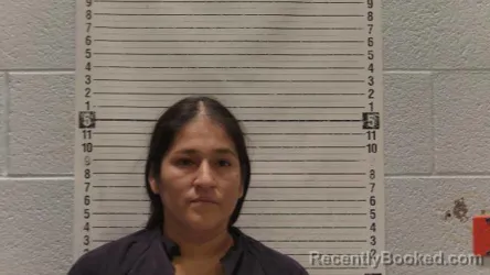 Mugshot of Jessenia Llanos-Arias booked in Luna County, New Mexico on April 3, 2026